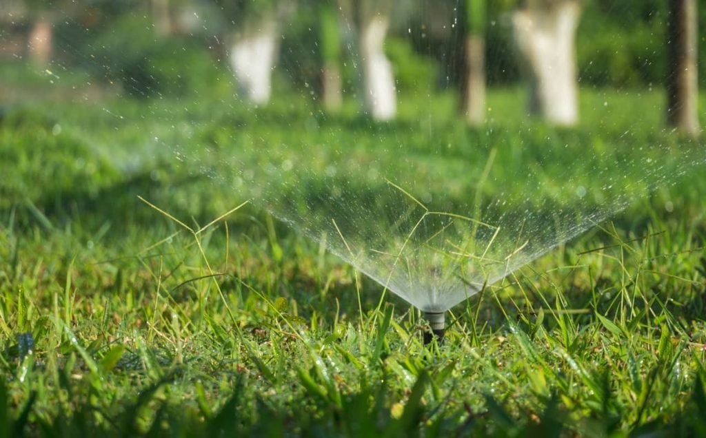कम बारिश में रबी फसल की तैयारी कैसे करें?